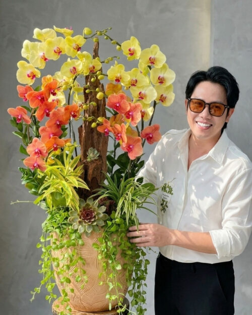 Chậu Lan Hồ Điệp 9 Cành – Hoàng Cam Phú Thịnh