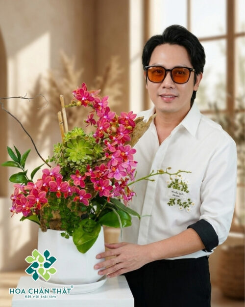 Chậu Lan Hồ Điệp Ghép Lũa 6 Cành – Song Vượng Gốc Đôi