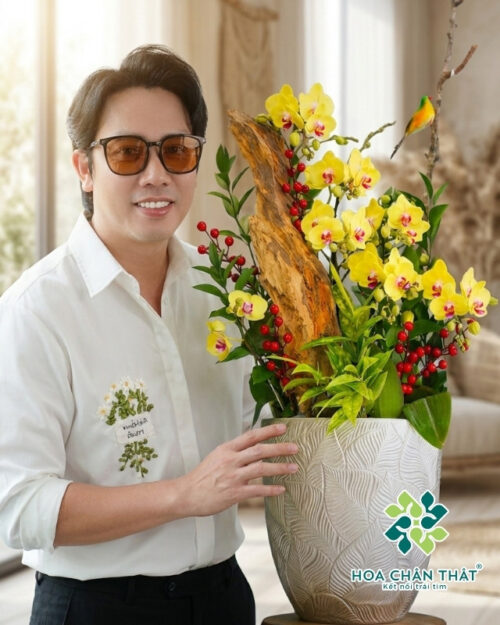 Chậu Lan Hồ Điệp Ghép Lũa Mini 5 Cành – Hoàng Kim Rực Rỡ