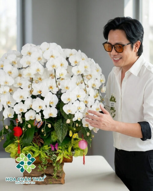 Chậu Lan Hồ Điệp Máng Lũa 10 Cành – Trắng Bạch Ngọc Phú Quý