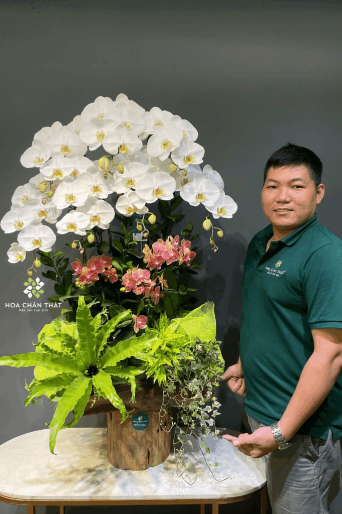 Chậu Lan Hồ Điệp Máng Lũa Mix Trắng & Mini Cam – Hòa Sắc Vinh Hoa Chậu Lan Hồ Điệp Máng Lũa Mix Trắng & Mini Cam – Hòa Sắc Vinh Hoa