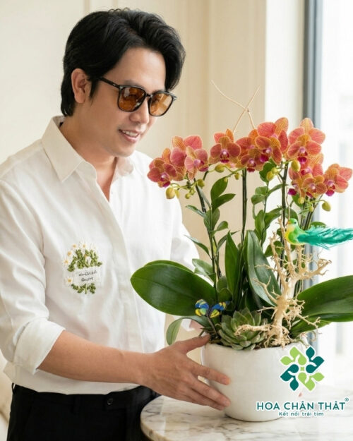 Chậu Lan Hồ Điệp Mini 2 Gốc Đôi – Cam Tròn An Nhiên