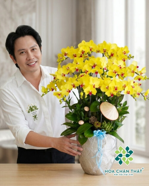 Chậu Lan Hồ Điệp Vàng Lưỡi Đỏ 15 Cành – Kim Vượng Thịnh