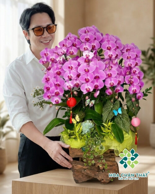 Máng Lũa Lan Hồ Điệp 10 Cành – Tím Hoàng Phát Lộc