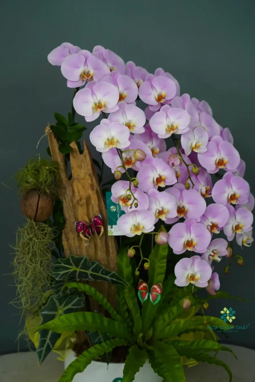 b9093ecadbe656b80ff713