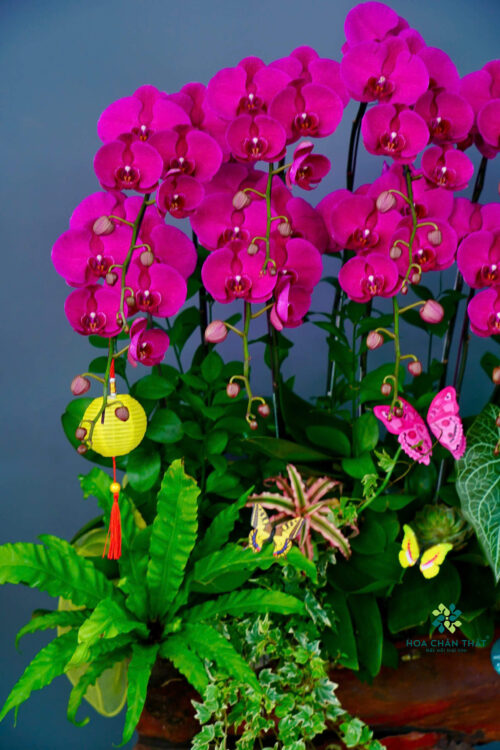 c91cdf720c65813bd8743 1