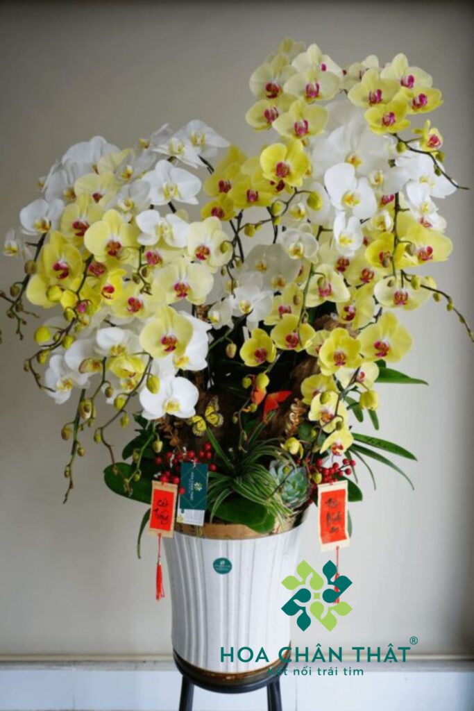 gan logo 1707 x 2560 px 13