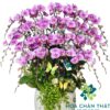 Chậu Lan Hồ Điệp 27 Cành – Hồng Tím Vinh Hoa