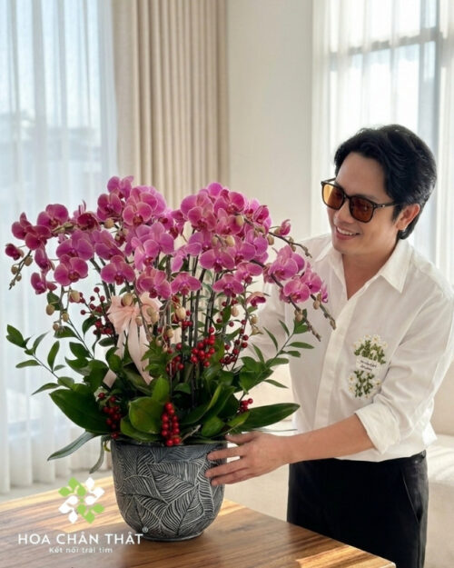 Chậu Lan Hồ Điệp 10 Cành – Màu Đỏ Dâu Tài Lộc Đón Tết