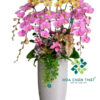 Chậu Lan Hồ Điệp 10 Cành Mix Tím Vàng – Hài Hòa Rực Sắc