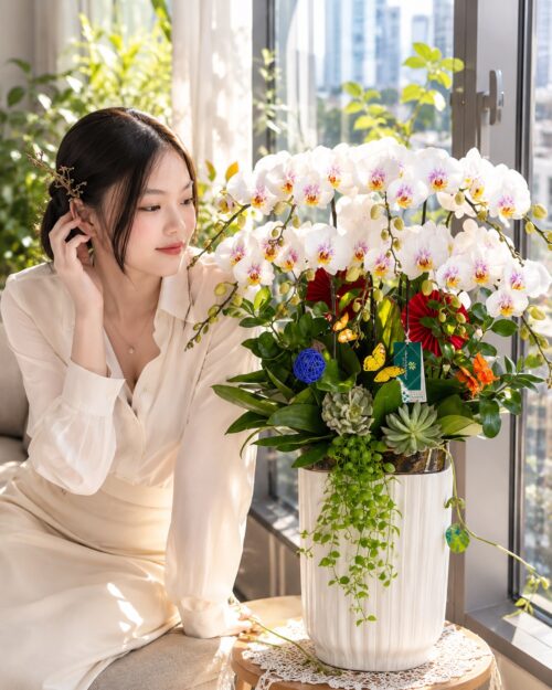 Chậu Lan Hồ Điệp 10 Cành Trắng Lưỡi Hồng – Thanh Khiết Phú Quý Chậu Lan Hồ Điệp 10 Cành Trắng Lưỡi Hồng – Thanh Khiết Phú Quý