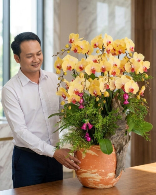 Chậu Lan Hồ Điệp 10 Cành Vàng Nghệ – Rực Rỡ Phú Quý