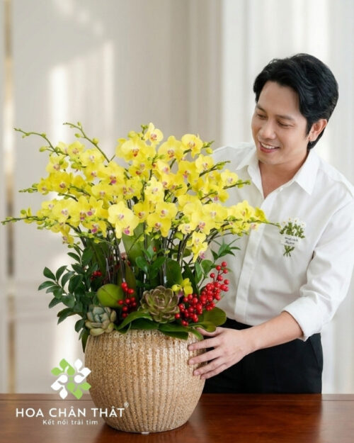 Chậu Lan Hồ Điệp 12 Cành – Màu Vàng Tài Lộc Đón Xuân