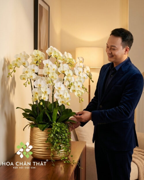 Chậu Lan Hồ Điệp 12 Cành – Màu Xanh Táo Tươi Mát Chậu Lan Hồ Điệp 12 Cành – Màu Xanh Táo Tươi Mát