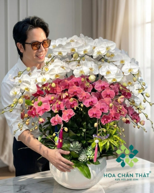 Chậu Lan Hồ Điệp 18 Cành – Mix Trắng Đỏ Dâu Phú Lộc