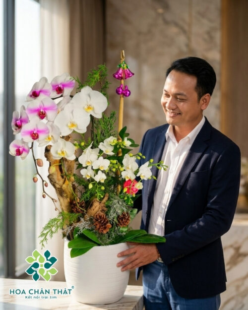 Chậu Lan Hồ Điệp 2 Cành Lớn + 3 Cành Mini Trắng