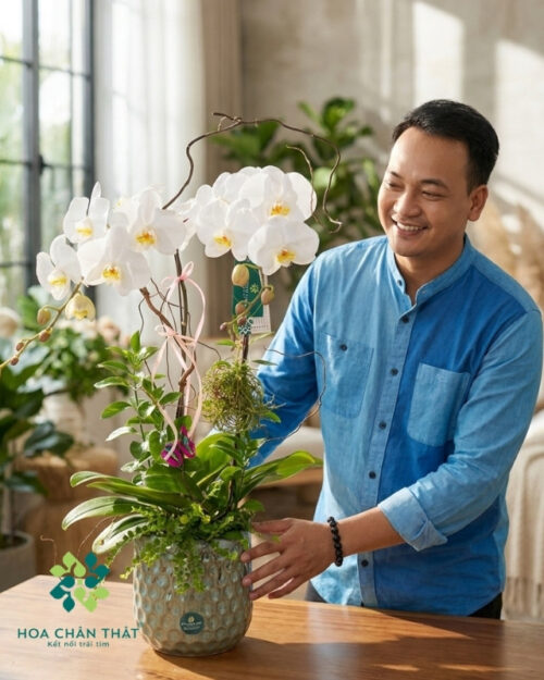 Chậu Lan Hồ Điệp 2 Cành Trắng – Thuần Khiết & Trang Nhã
