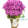 Chậu Lan Hồ Điệp 20 Cành – Màu Hồng Tím Phú Quý Sum Vầy