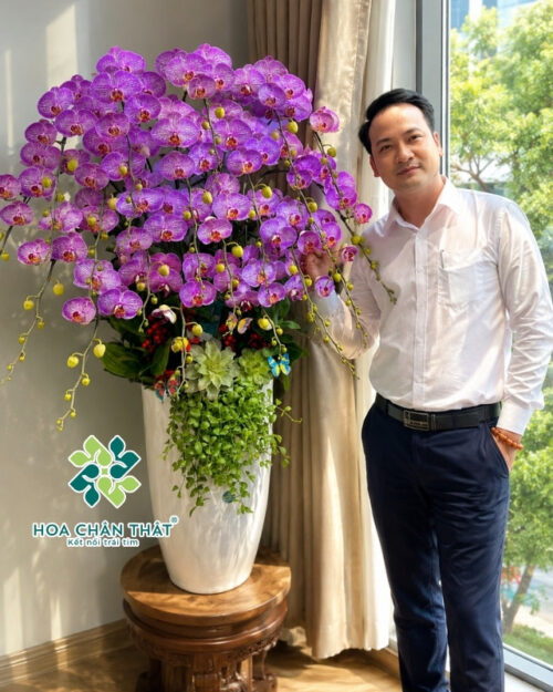 Chậu Lan Hồ Điệp 20 Cành – Màu Hồng Sọc Nhạt Dịu Dàng