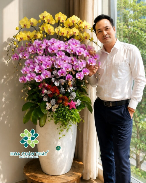 Chau Lan Ho Diep 20 Canh Mau Hong Vang Phuc Loc Hoa Ca 2