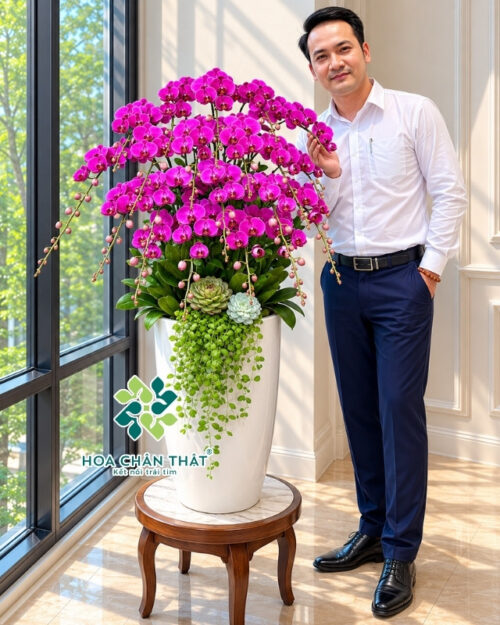 Chau Lan Ho Diep 20 Canh Mau Tim Dia Chu Quyen Quy 3