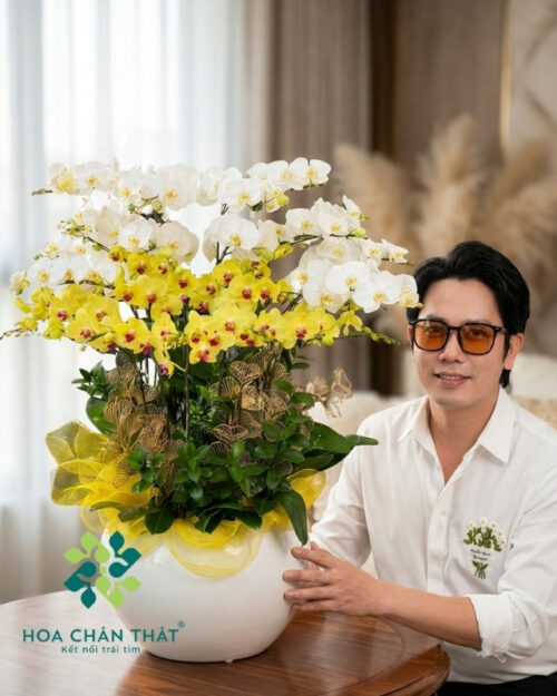 Chậu Lan Hồ Điệp 20 Cành – Màu Vàng Trắng Phúc Lộc Song Toàn