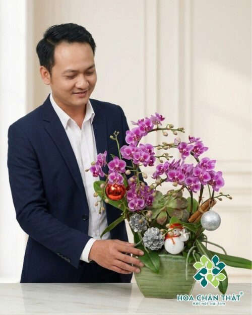 Chậu Lan Hồ Điệp 3 Cành Mini Tím – Nhỏ Gọn Nhưng Nổi Bật