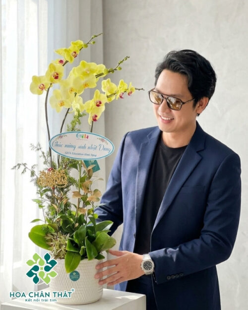 Chậu Lan Hồ Điệp 3 Cành Xanh Táo – Tươi Sáng & May Mắn