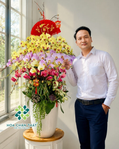 Chậu Lan Hồ Điệp 30 Cành – Mix Hồng Vàng Đỏ Phú Quý