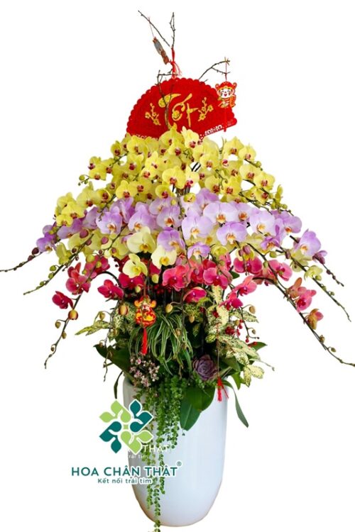 Chậu Lan Hồ Điệp 30 Cành – Mix Hồng Vàng Đỏ Phú Quý