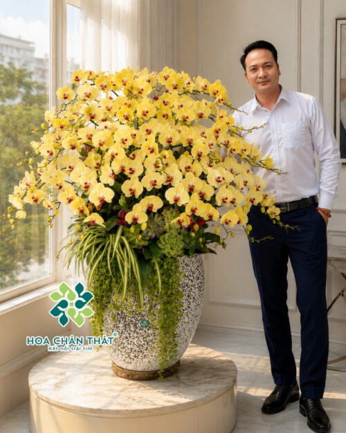 Chậu Lan Hồ Điệp 30 Cành – Vàng Hoàng Kim Chậu Trắng Đen