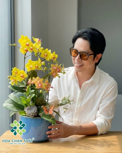 Chậu Lan Hồ Điệp 5 Cành – Mix Vàng Cam Minh Quang