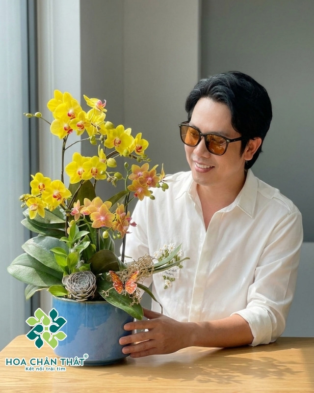 Chậu Lan Hồ Điệp 5 Cành – Mix Vàng Cam Minh Quang Chậu Lan Hồ Điệp 5 Cành – Mix Vàng Cam Minh Quang