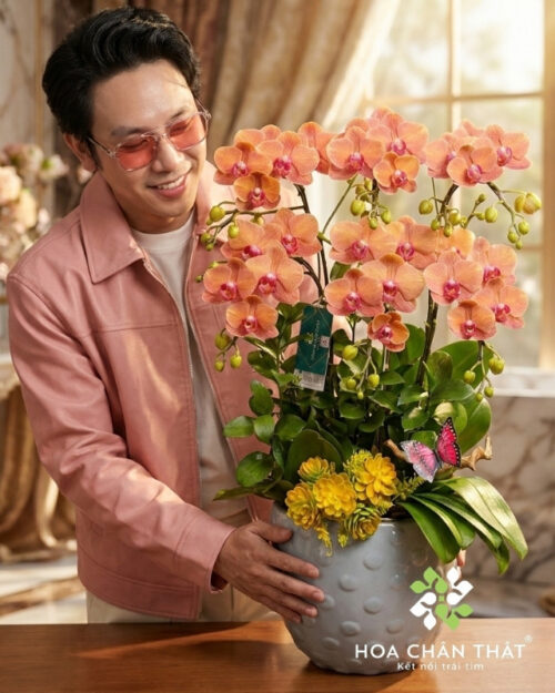 Chậu Lan Hồ Điệp 6 Cành – Màu Cam Rực Rỡ