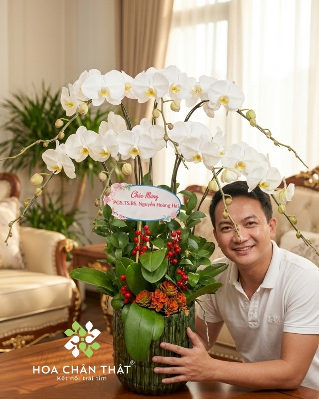 Chậu Lan Hồ Điệp 7 Cành – Màu Trắng Thuần Khiết Chậu Lan Hồ Điệp 7 Cành – Màu Trắng Thuần Khiết
