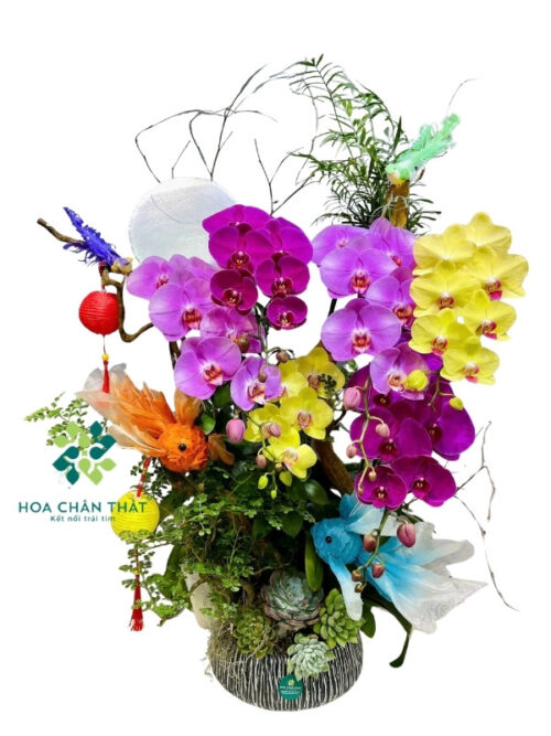 Chậu Lan Hồ Điệp 8 Cành Ghép Lũa Mix Màu – Sắc Ngọc Đoàn Viên
