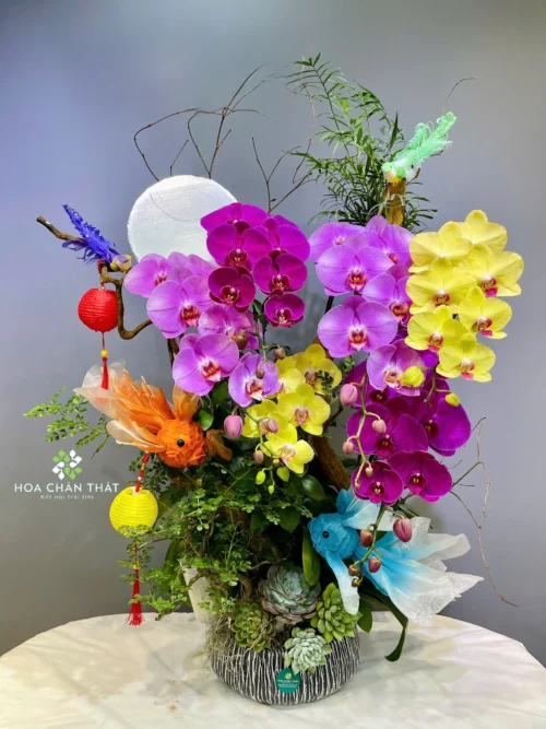 Chậu Lan Hồ Điệp 8 Cành Ghép Lũa Mix Màu – Sắc Ngọc Đoàn Viên