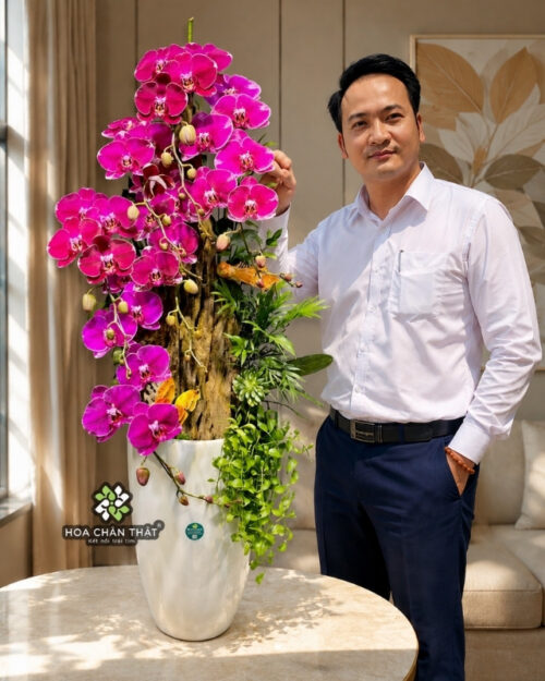 Chậu Lan Hồ Điệp 8 Cành Tím Đột Biến Ghép Lũa