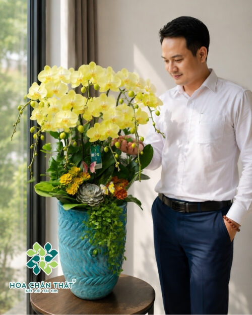 Chậu Lan Hồ Điệp 9 Cành – Màu Xanh Bơ Ngọc Ngà