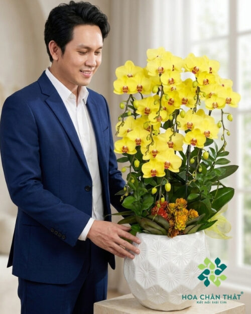 Chậu Lan Hồ Điệp 9 Cành Vàng Lưỡi Đỏ – Hoàng Vân Vượng Lộc
