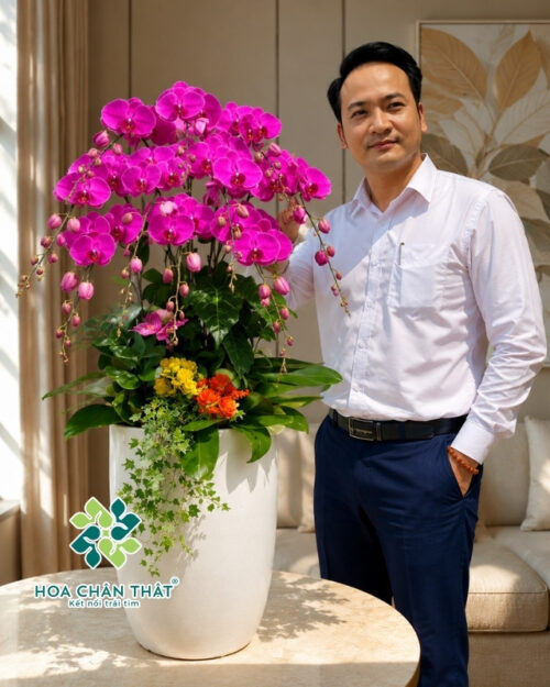 Chậu Lan Hồ Điệp Cao 10 Cành – Màu Tím Vượng Phát