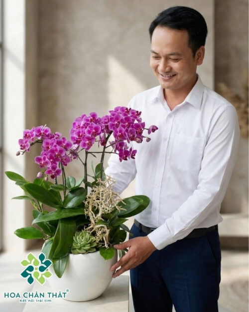 Chậu Lan Hồ Điệp Mini 5 Cành Gốc Đôi – Tím Huyền Thanh