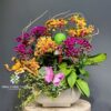 Chậu Lan Hồ Điệp Mini 5 Gốc Đôi Mix Màu Ghép Lũa – Ân Hòa Sắc Việt