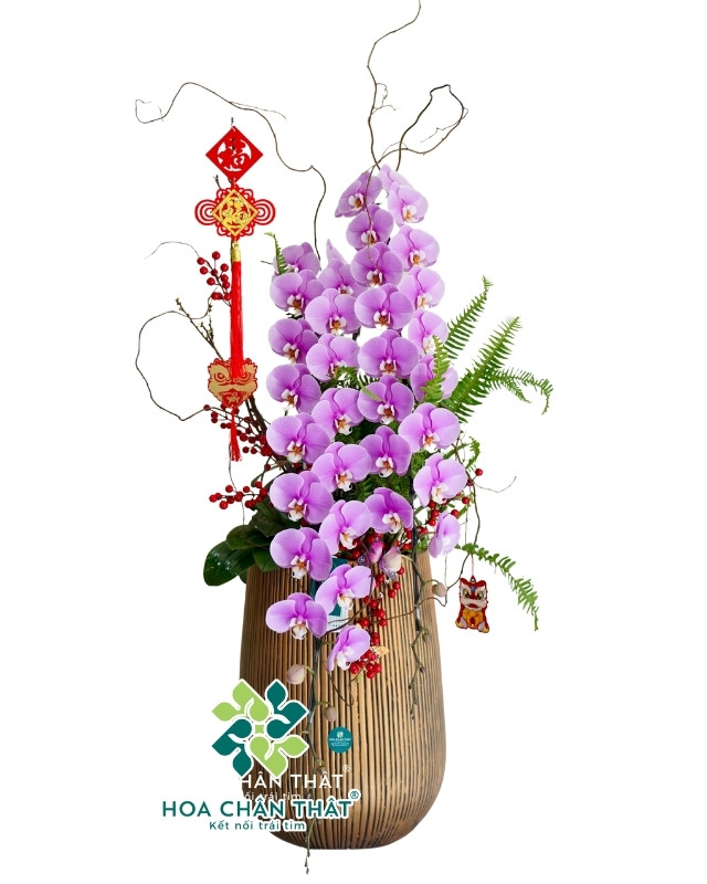 Chậu Lan Hồ Điệp Nữ Hoàng Hồng 2 Cành – Song Hỷ Phú Quý Chậu Lan Hồ Điệp Nữ Hoàng Hồng 2 Cành – Song Hỷ Phú Quý