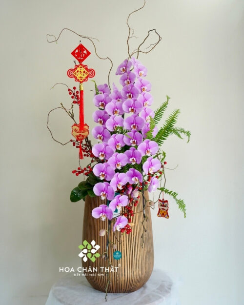 Chậu Lan Hồ Điệp Nữ Hoàng Hồng 2 Cành – Song Hỷ Phú Quý