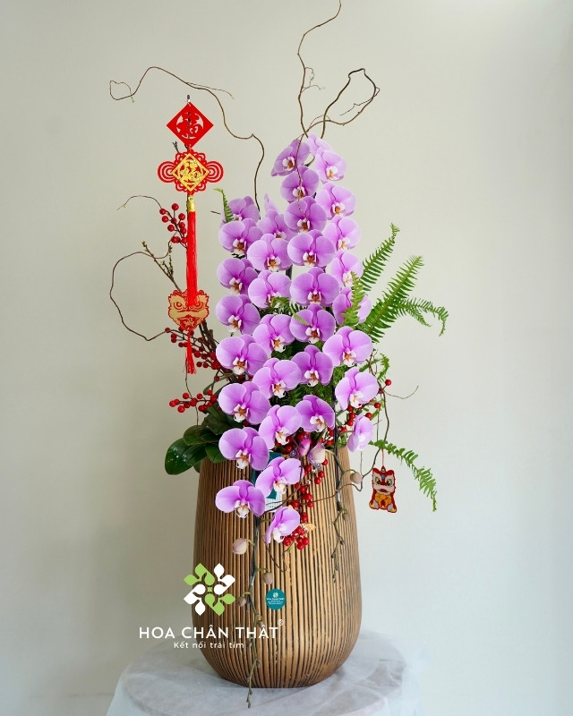 Chậu Lan Hồ Điệp Nữ Hoàng Hồng 2 Cành – Song Hỷ Phú Quý Chậu Lan Hồ Điệp Nữ Hoàng Hồng 2 Cành – Song Hỷ Phú Quý