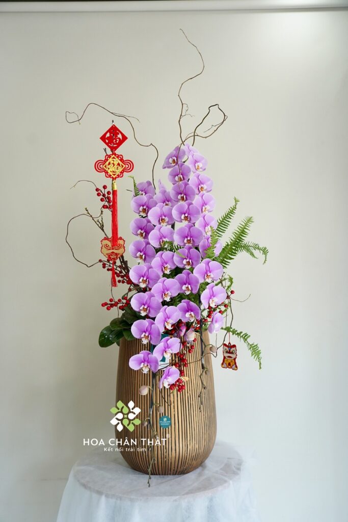 Chậu Lan Hồ Điệp Nữ Hoàng Hồng 2 Cành – Song Hỷ Phú Quý Chậu Lan Hồ Điệp Nữ Hoàng Hồng 2 Cành – Song Hỷ Phú Quý