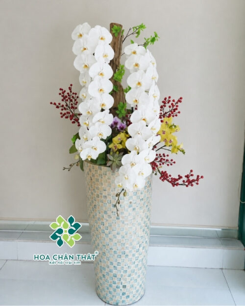Chậu Lan Hồ Điệp Nữ Hoàng Trắng 2 Cành – Song Phúc Vương Quyền