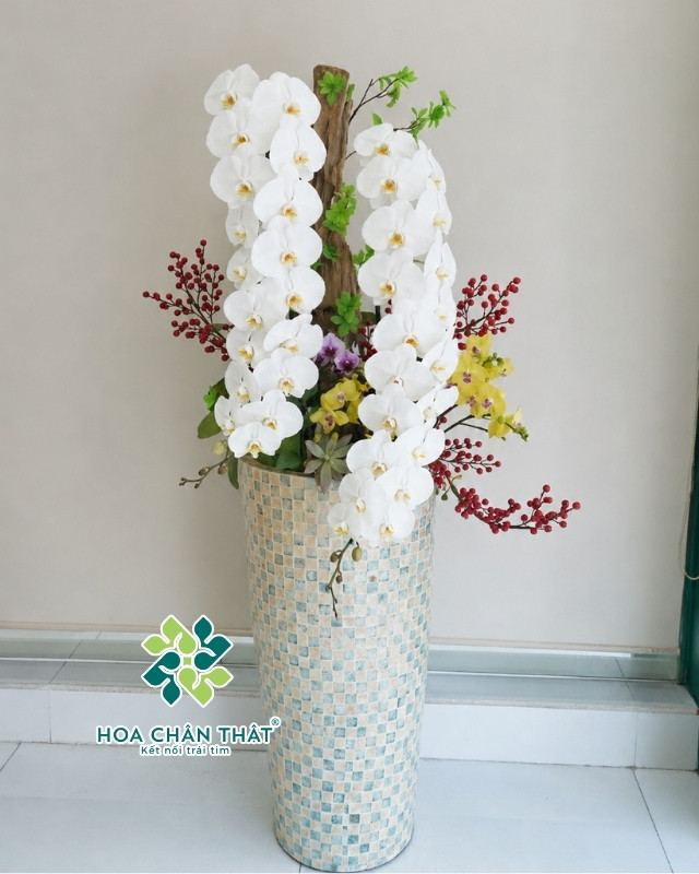 Chậu Lan Hồ Điệp Nữ Hoàng Trắng 2 Cành – Song Phúc Vương Quyền Chậu Lan Hồ Điệp Nữ Hoàng Trắng 2 Cành – Song Phúc Vương Quyền