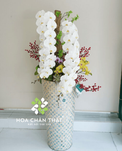 Chậu Lan Hồ Điệp Nữ Hoàng Trắng 2 Cành Song Phúc Vương Quyền